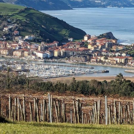 Апартаменти Zumaia Basque Alai Екстер'єр фото