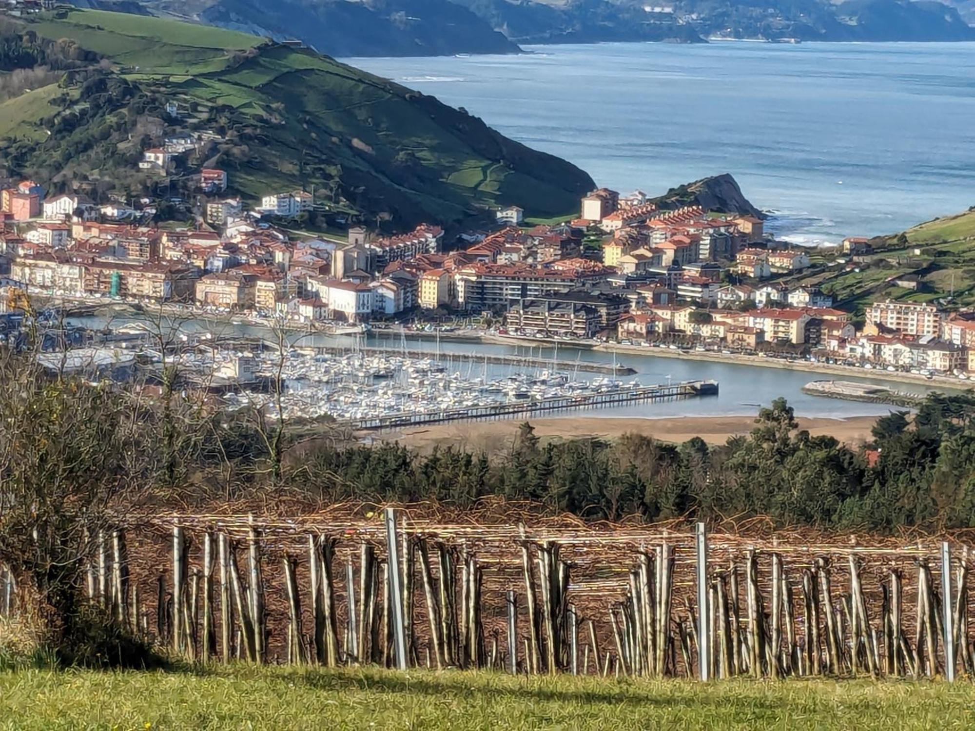 Апартаменти Zumaia Basque Alai Екстер'єр фото